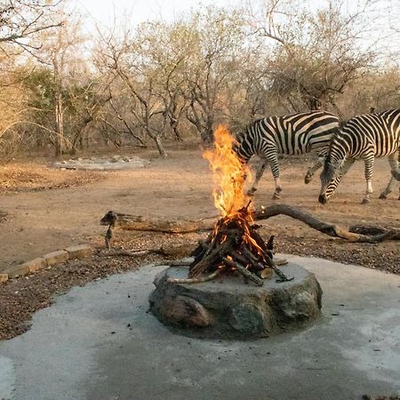Hello Kruger Hideaway Cottage & Skilpad Studio مارلوث بارك المظهر الخارجي الصورة