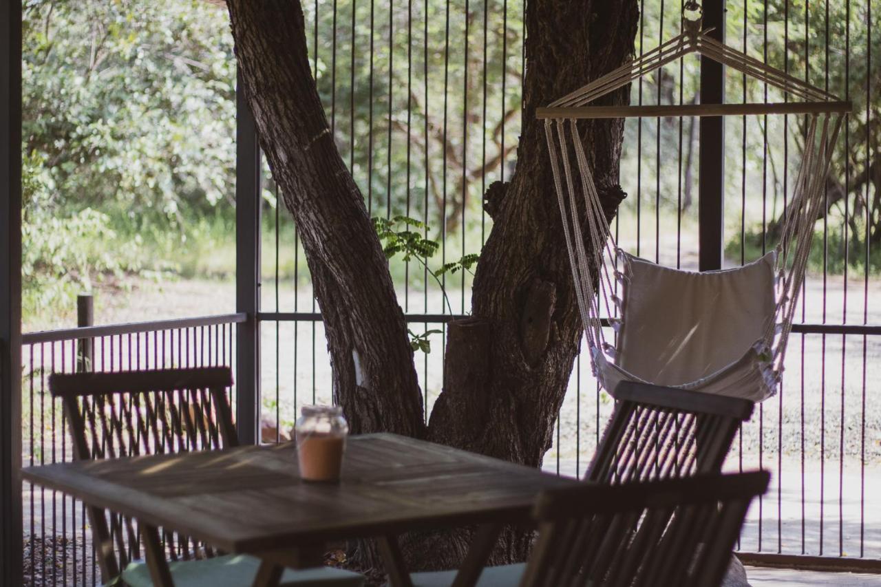Hello Kruger Hideaway Cottage & Skilpad Studio مارلوث بارك المظهر الخارجي الصورة