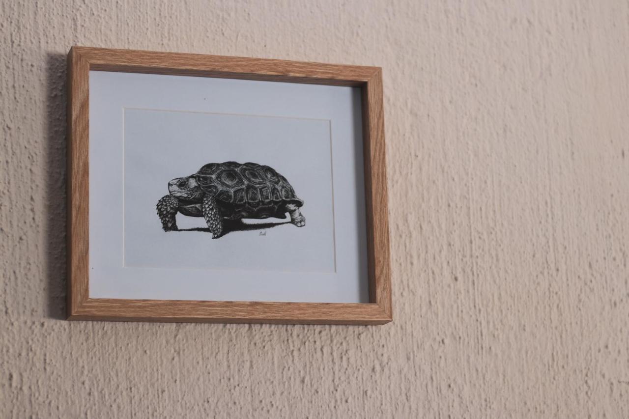 Hello Kruger Hideaway Cottage & Skilpad Studio مارلوث بارك المظهر الخارجي الصورة