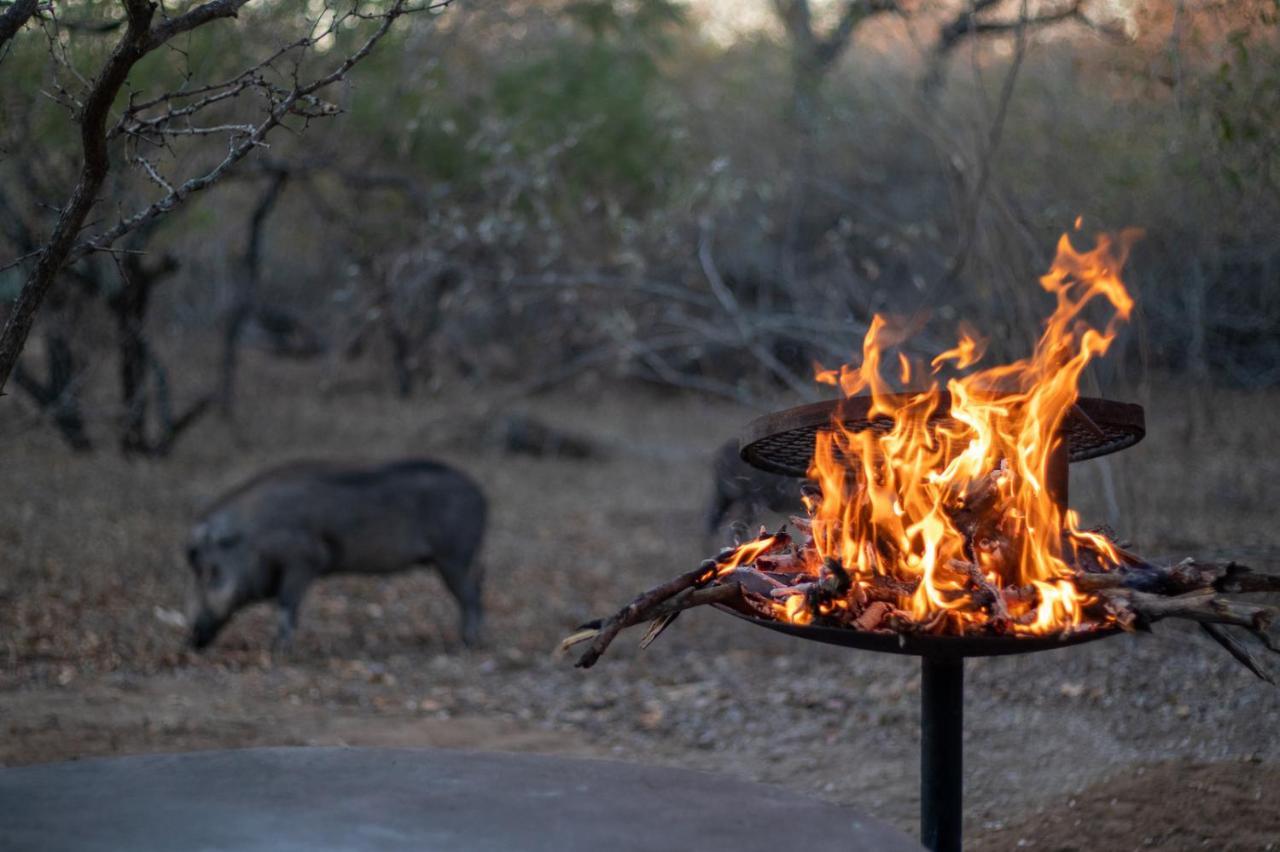 Hello Kruger Hideaway Cottage & Skilpad Studio مارلوث بارك المظهر الخارجي الصورة