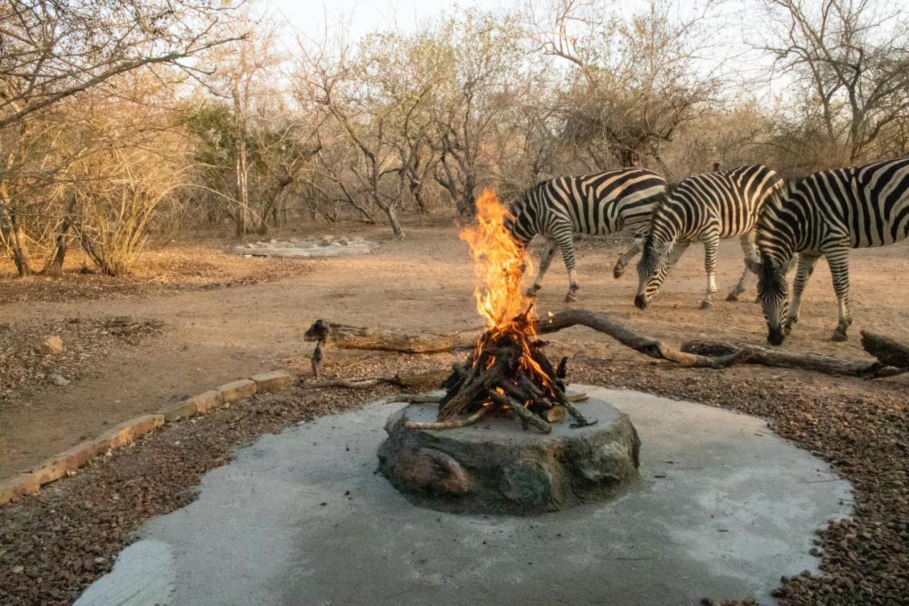 Hello Kruger Hideaway Cottage & Skilpad Studio مارلوث بارك المظهر الخارجي الصورة