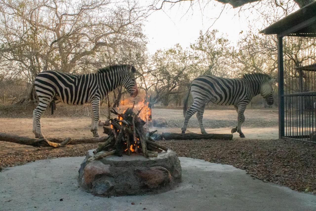 Hello Kruger Hideaway Cottage & Skilpad Studio مارلوث بارك المظهر الخارجي الصورة